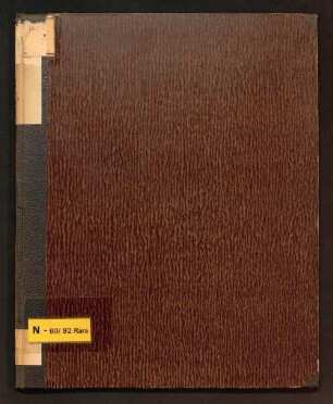 Ueber prähistorische Kunst