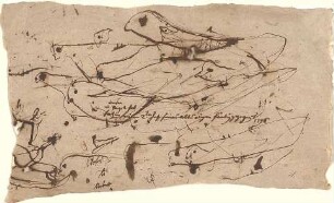 Gärtner, Friedrich von; Frühe Zeichnungen - Vogel (Studie)
