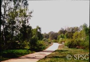 Potsdam, Park Sacrow, Gehölzgruppen am Uferweg unweit des Feuerwehrtores.
