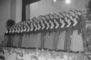 Kulturprogramm anlässlich des III. Bundeskongresses der Domowina in Bautzen : Kulturny program na III. Zwjazkowym kongresu Domowiny w Budyšinje : Bautzen / Budyšin
