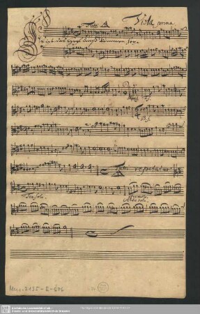 Viola prima.