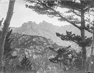 Gipfel : Blick zum Gipfel des Lauschan nahe Qingdao