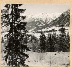 Verschneite Landschaft in Oberstdorf im Allgäu