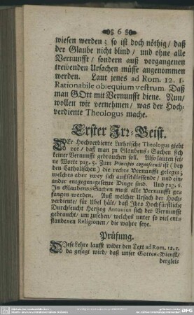 Erster Irr-Geist