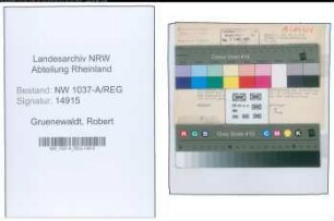 Entnazifizierung Robert Gruenewaldt , geb. 00.00.0000 (Reg.Inspektor)