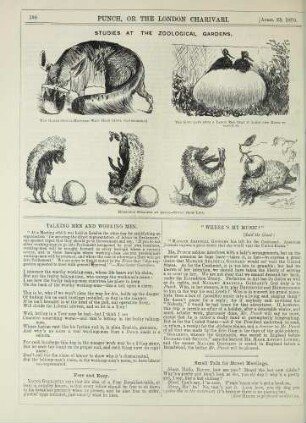 Studies at the zoological gardens