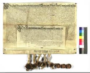 Maximilian, Deutschmeister, gestattet dem Landkomtur von Hessen zum Besten des Hauses Flörsheim 4000 Gulden aufzunehmen.