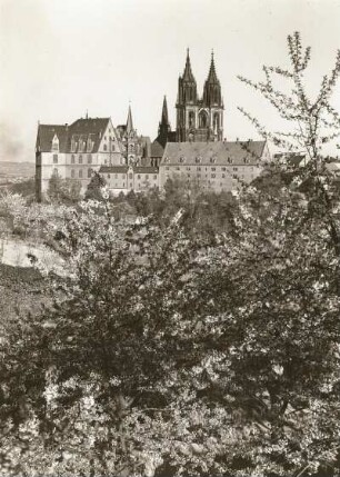 Meißen. Albrechtsburg und Dom. Blick von Nordwesten über das Meisatal