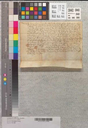 Abt Franz von Corvey belehnt den höxterschen Bürger Veit Dernndall [Derndal] für sich und seine Vettern mit zwölf Morgen Land auf dem Overwerder [Oberen Werder] bei Höxter.