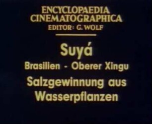 Suyá (Brasilien, Oberer Xingú) - Salzgewinnung aus Wasserpflanzen