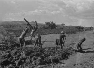 Feldarbeit : Frauen und Männer der Konso bei der Feldarbeit