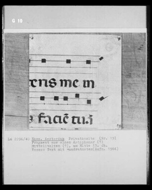 Fragment aus einem Antiphonar, Text mit Quadratnoten