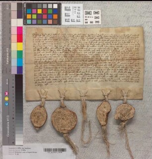 Godfried von Minden bezeugt die schiedsrichterliche Entscheidung von Streitigkeiten zwischen Wedekind von Osen (Everstein-Ohsen), Propst von Hameln und der Stadt Hameln.