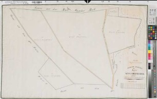 Stadtlohn (Stadtlohn),Teilung der Wessendorfer Mark, Bl. 4 Reinkarte