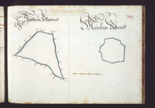 Heimerdinger Hut: Stockheimer Schlegelwald; Münchinger Pfaffenwald