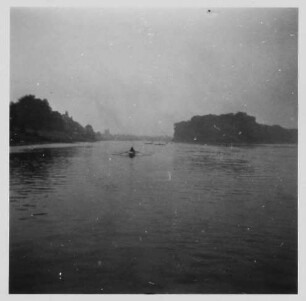 Dresden-Pillnitz. Ruderboot an der Pillnitzer Elbinsel