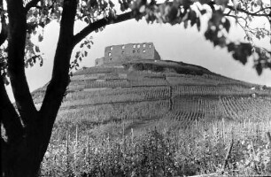 Staufen: Schlossberg mit Ruine