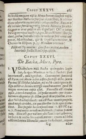 Caput XXXVI. - Caput XXXIX.