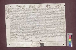 Papst Pius VI. setzt Josef Ignaz von Roggenbach in die Würde eines Basler Domherrn ein und verleiht ihm eine Pfründe.