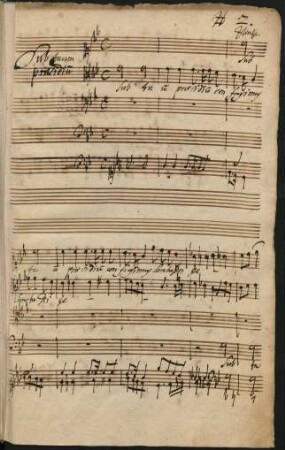 Sub tuum praesidium; V(4), org; c-Moll; ZWV 157/2