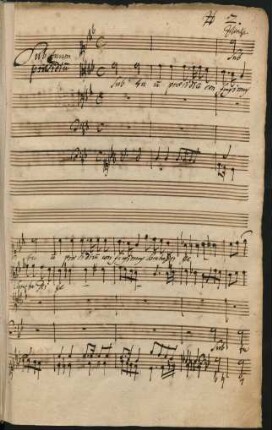 Sub tuum praesidium; V(4), org; c-Moll; ZWV 157/2