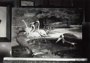 Kranich, Flamingos und Marabu