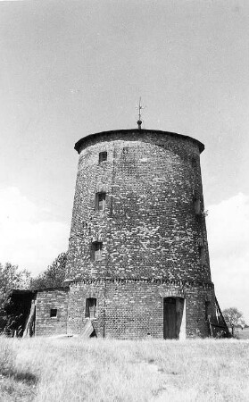 Großtreben-Zwethau-Großtreben. Turmholländer