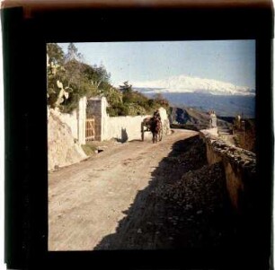 Eselfuhrwerk bei Taormina