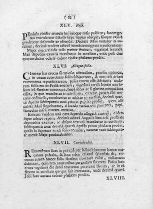 XLVII. Convolvulus
