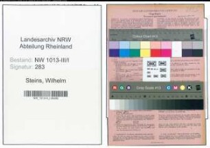 Entnazifizierung Wilhelm Steins , geb. 04.01.1902 (Ingenieur)