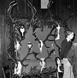 Kreisjägerschaft Stormarn e.V.: Rohlfshagen/Kupfermühle: Gastwirtschaft "Kupfermühle": Saal: Mitgliederversammlung: Ausstellungstafel mit Auswahl von Jagdtrophäen aus den Hegeringen: rechts junger Mann