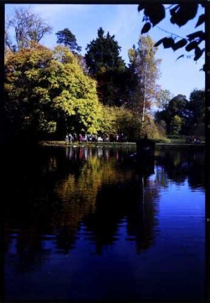 Donaueschingen: am Teich, mit Spiegelung