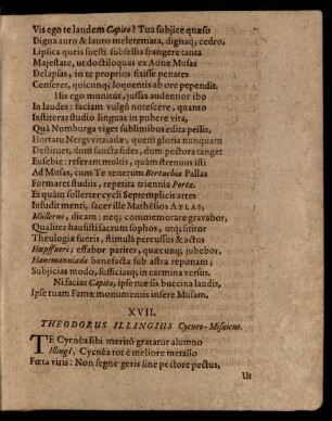 XVII. Theodorus Illingius