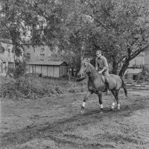 Reiter Strehla : Strehla. Reiter und Pferd