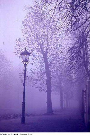 Straßenbild mit Straßenlaterne im Nebel