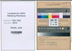 Entnazifizierung Julie Riedel , geb. 06.01.1906 (Einzelhaendlerin)