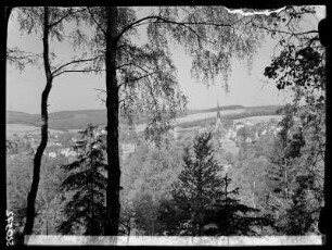 Blick auf Bad Elster