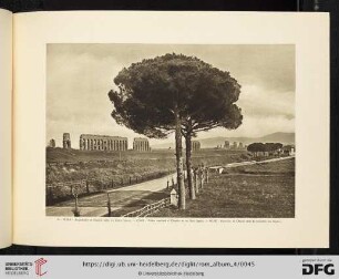 21. ROMA. Acquedotto di Claudio sulla via Appia nuova / ROME. Water conduct of Claudio in via New Appia/ ROME Aqueduc de Claude dans la nouvelle rue Appia