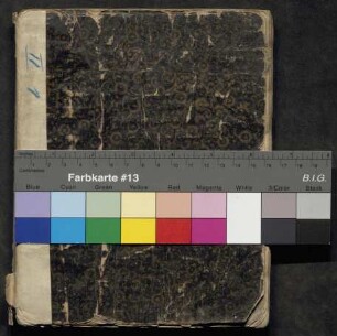 Protokollbuch ("Protocollum decanale capituli ruralis castellensis")