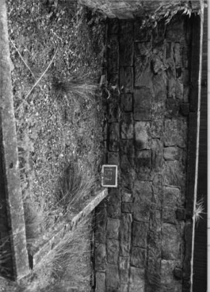 Grabstein 157 (Index: 100080409) Zustand: nur noch Grabeinfassung vorhanden Maße HxBxT: 0x0x0 cm: Grabstein 157
