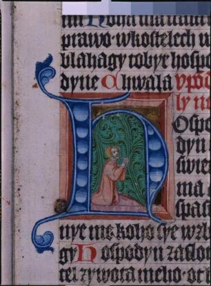 fol. 25r, Initiale mit Text