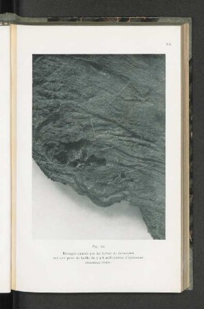 Fig. 24.