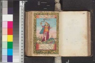 Altermann, Johann; Blatt 211v
