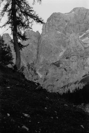 Felswand : Felswand und Felsformation der Alpen.