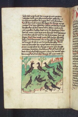 Die Versammlung der Raben vor ihrem Rabenkönig; (Kapitel V: Von den Raben und den Aaren)