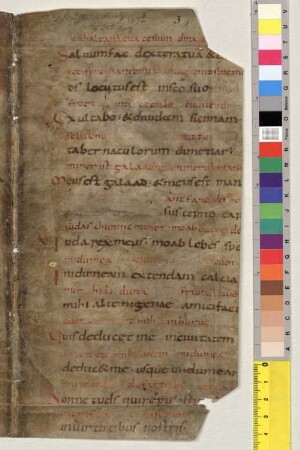 Altalemannische Psalmenübersetzung - Studienbibliothek Dillingen XV Fragm. 3