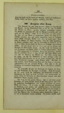 10. Seegras oder Tang