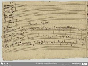 [2.] Allegretto ma piano