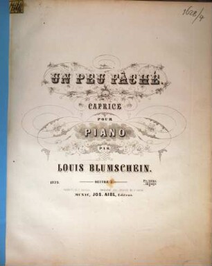 Un peu fâché : caprice ; pour piano ; op. 7