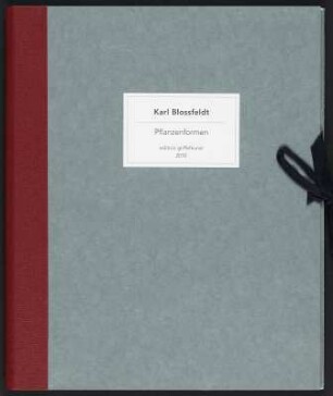 Mappe Karl Blossfeldt: Pflanzenformen. Edition Griffelkunst : Karl Blossfeldt: Pflanzenformen. Edition Griffelkunst. Mappe aus grauem Karton mit dunkelrotem Rücken und Verschlussband aus schwarzem Leinen, darin sechs Handvergrößerungen (Ilford Multigrade FB warmton, Atelier Margotow, Wahlershausen) vom Originalnegativ aus dem Nachlass in der Deutschen Fotothek und 8-seitigem Begleitheft mit einer Einführung von Agnes Matthias und Jens Bove. Einmalige Auflage für die Griffelkunst Hamburg, 2010, H 30,8 x B 26 x D 1,5 cm. Dresden: SLUB/DF 2016.D.51